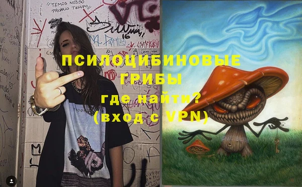 МДПВ Козельск